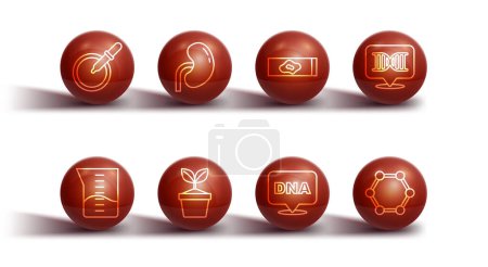 Illustration for Set line Petri dish with pipette, Laboratory glassware or beaker, DNA symbol, Plant in pot, Human kidney, Molecule and Blood test and virus icon. Vector - Royalty Free Image