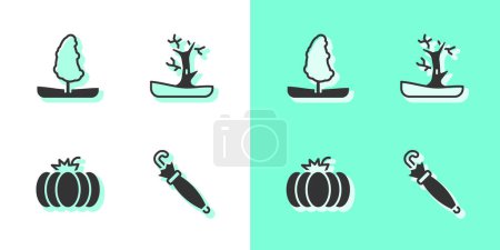Ilustración de Establecer paraguas, árbol, calabaza y el icono del árbol desnudo. Vector - Imagen libre de derechos