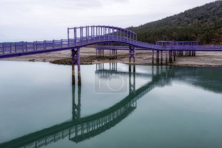 Téléchargez les photos : Îles pourpres sinan avec des ponts et des allées de couleur pourpre. Destination touristique célèbre située au large des côtes de l'île d'Anjwa dans le Sinan, en Corée du Sud - en image libre de droit