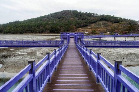 Sinan purple islands with purple colored bridges and walkways. Famous tourist destination located off the coast of Anjwa Island in Sinan, South Korea