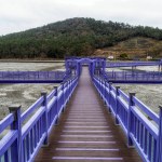 Sinan purple islands with purple colored bridges and walkways. Famous tourist destination located off the coast of Anjwa Island in Sinan, South Korea