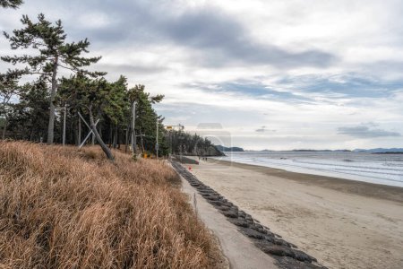 Téléchargez les photos : Sinan Baekgil plage pendant la vue d'hiver. Célèbre plage située sur l'île de Jaeundo à Sinan, Corée du Sud - en image libre de droit
