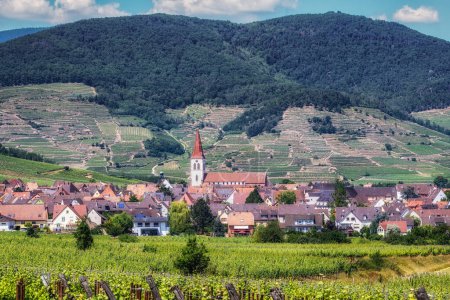 Téléchargez les photos : La vue sur Ammerschwihr et les célèbres grands vignobles crus d'alsace. Prise en Alsace, France - en image libre de droit