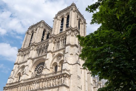 Foto de Famosa Catedral de Notre Dame Vista de París de la fachada principal. Famosa catedral católica en París, Francia - Imagen libre de derechos