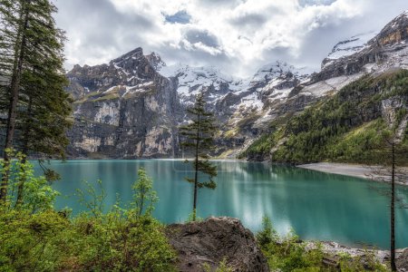 Ein Baum mit Blick auf den Öschinensee und das Öschinental inmitten der Berner Alpen. Berühmte Touristenattraktion in der Schweiz