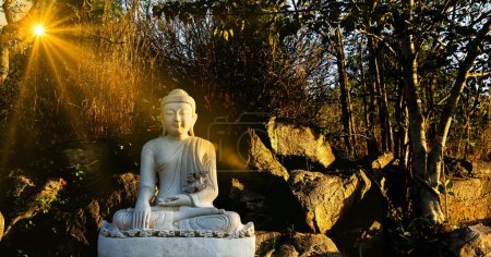 Foto de Estatua blanca de Buda meditando se sienta en la pila de rocas entre los árboles del bosque por la tarde en la India. Gran arquitectura religiosa. Foto de alta calidad - Imagen libre de derechos