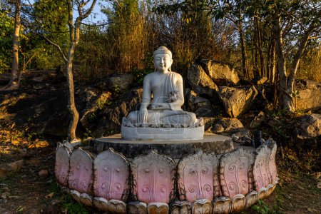 Foto de Estatua blanca de Buda meditando se sienta en la pila de rocas entre los árboles del bosque por la tarde en la India. Gran arquitectura religiosa. Foto de alta calidad - Imagen libre de derechos