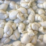 Tray of knots, a type of mozzarella from Puglia, Southern Italy. High quality photo
