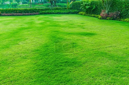 Photo for Garden with fresh green grass both shrub and flower front lawn background, Garden landscape design Fresh grass smooth lawn with curve form bush in house's garden care. - Royalty Free Image