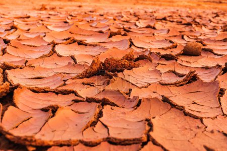 Photo for Full frame to terrain with arid climate. The surface of the land is cracked. Crack soil ground texture. The natural texture of soil with cracks. Broken clay surface of barren dryland wasteland closeup - Royalty Free Image