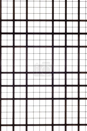 Téléchargez les photos : Dôme en verre ou toit en verre, grille, vue de dessus - en image libre de droit