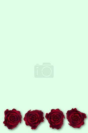 Téléchargez les photos : Saint-Valentin. Composition des fleurs. Cadre rond en fleurs de rose, confettis sur fond blanc. Fond Saint-Valentin. Pose plate, vue du dessus, espace de copie. - en image libre de droit