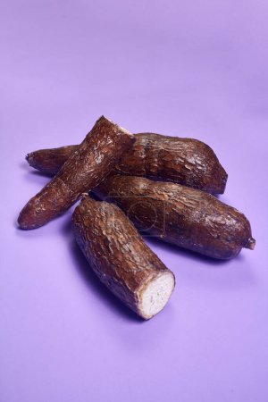 Raíz de mandioca orgánica fresca, Manioc Esculenta, yuca Sobre fondo púrpura, mesa de mano