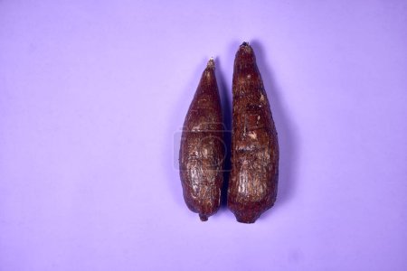 Fresh Organic Cassava Root, Manioc Esculenta, yuca On purple Background, hand table
