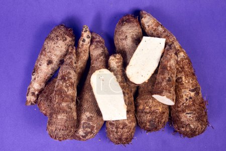 closeup of taro root vegetable, eddo malanga, hands table slice