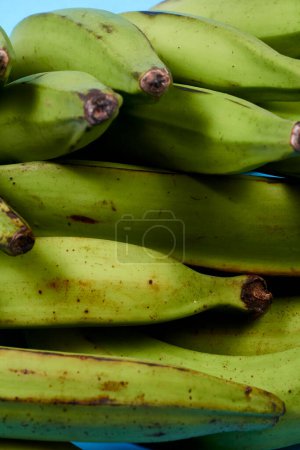 Frische grüne Banane auf blauem Hintergrund, Maqueno, Barraganete, Dominico. Hände Tischmesser