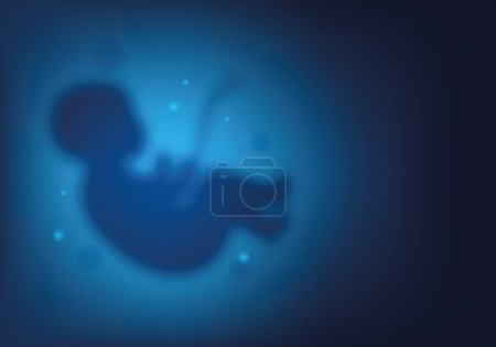 Ilustración de Embrión humano azul borroso en el útero, embarazo, obstetricia. Niño en el útero. Concepto para centro obstétrico o ginecólogo, símbolo de embarazo y maternidad - Imagen libre de derechos