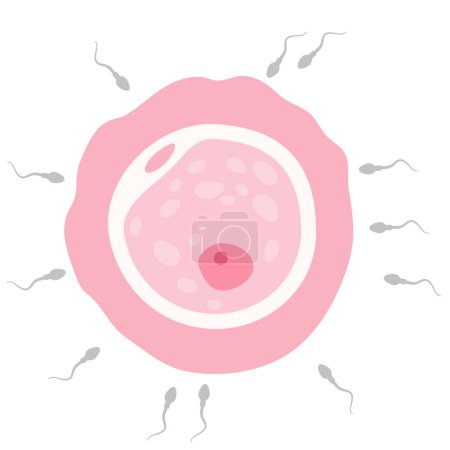Illustration for In vitro fertilization. Artificial insemination, fertilisation, Injecting sperm into egg cell. Assisted reproductive treatment - Royalty Free Image