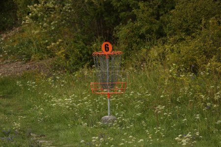 Photo for Disc golf (frolf) basket on a forest course in summer with a shallow depth of field - Royalty Free Image