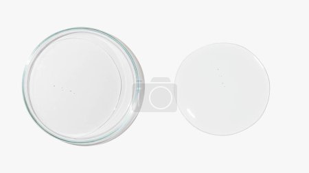 Petrischale mit transparentem Farbgel auf hellem Hintergrund. Glaswaren. Flüssig. Studie.