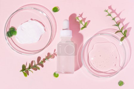 Kosmetikdose mit weißer Kappe und Pipette auf rosa Hintergrund. Petrischalen mit Gel und Sahne auf rosa Hintergrund. Umgeben von Pflanzen.