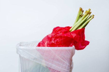 Téléchargez les photos : Fleur flétrie. Emballage rouge tulipsine flétri. Dans le seau à ordures. Inversé vers le bas - en image libre de droit