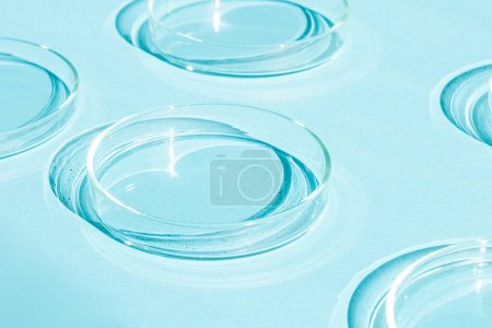 Téléchargez les photos : Boîte de Pétri. Un ensemble de tasses de Petri. Sur un fond bleu bleu. - en image libre de droit