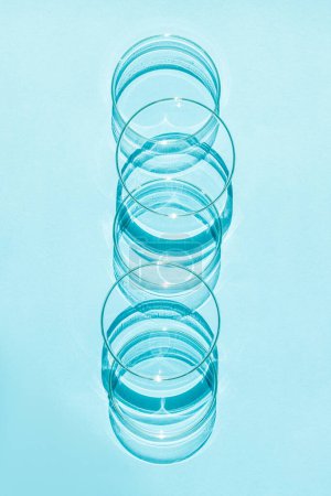 Téléchargez les photos : Boîte de Pétri. Un ensemble de tasses de Petri. Sur un fond bleu bleu. - en image libre de droit