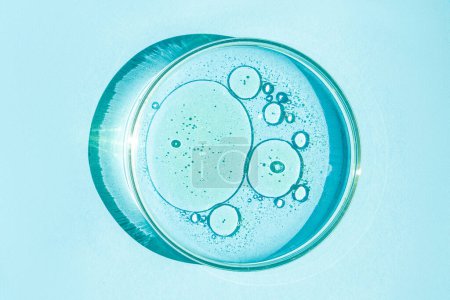 Petrischale vorhanden. Petrischale mit Flüssigkeit vorhanden. Chemische Elemente, Öl, Kosmetik. Gel, Wasser, Moleküle, Viren. Nahaufnahme. Auf blauem Hintergrund.