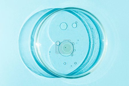 Téléchargez les photos : Boîte de Pétri. Tasse de Petri avec liquide. Eléments chimiques, huile, cosmétiques. Gel, eau, molécules, virus. Gros plan. Sur fond bleu. - en image libre de droit
