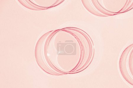 Téléchargez les photos : Boîte de Pétri. Un ensemble de tasses de Petri. Sur fond rose. Moitié laboratoire. - en image libre de droit