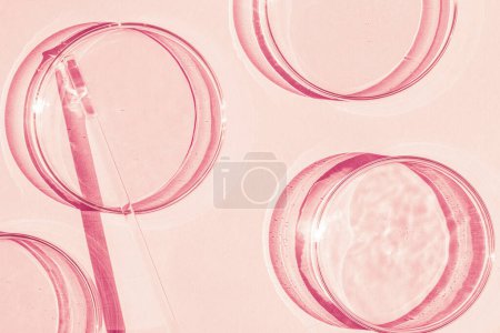 Téléchargez les photos : Boîte de Pétri. Un ensemble de tasses de Petri. Une pipette, un tube en verre. Sur fond rose. - en image libre de droit