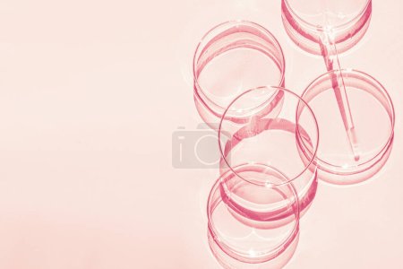 Placa de Petri. Un juego de tazas Petri. Una pipeta, un tubo de vidrio. Sobre un fondo rosa.