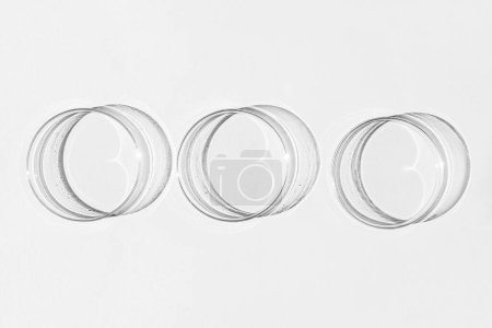Téléchargez les photos : Boîte de Pétri. Un ensemble de tasses de Petri. Sur fond blanc. Moitié laboratoire. - en image libre de droit