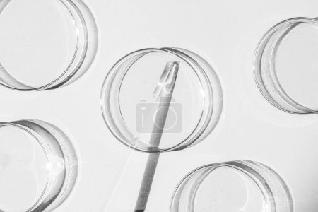 Boîte de Pétri. Un ensemble de tasses de Petri. Une pipette, un tube en verre. Sur fond blanc.