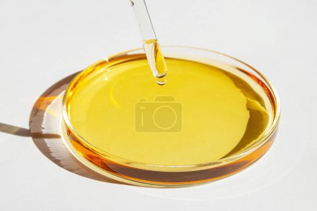 Petri dish. With yellow liquid. With solution. Pipette dripping from above. On a white background.