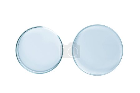 Téléchargez les photos : Deux boîtes de Pétri vides de verre bleu isolé. - en image libre de droit