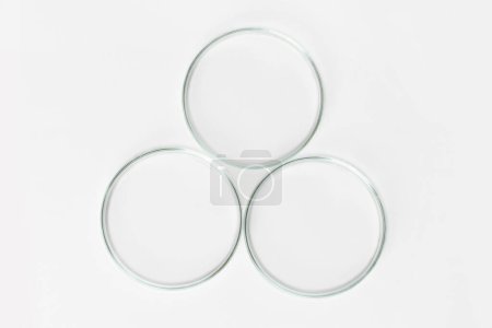 Three empty Petri dishes on a light background.