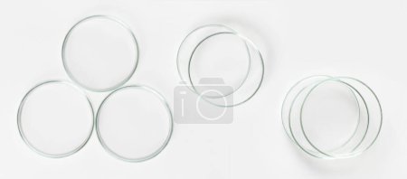 set of Petri dishes on a light background.