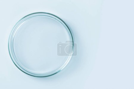 Foto de Placa de Petri vacía hecha de vidrio azul. Sobre un fondo azul. - Imagen libre de derechos