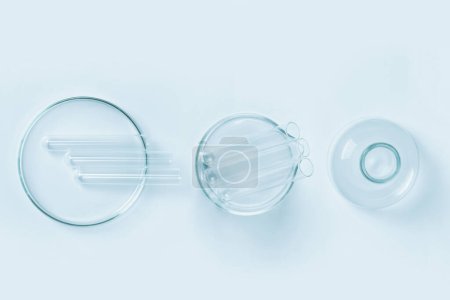 Téléchargez les photos : Un ensemble de verrerie de laboratoire en verre bleu sur fond bleu. Boîtes de Pétri, flacons, tasses. - en image libre de droit