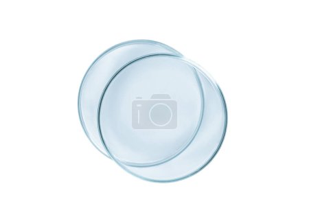 Téléchargez les photos : Deux boîtes de Pétri vides de verre bleu isolé. - en image libre de droit