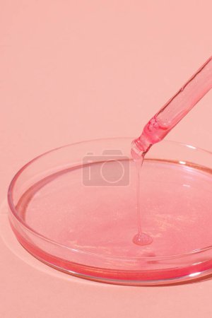 Photo for Pipette with dripping pink liquid. Or rose gold. On top of a Petri dish with pink liquid. On a pink background. Laboratory, chemistry, medicine. Cosmetic research. glitter. - Royalty Free Image