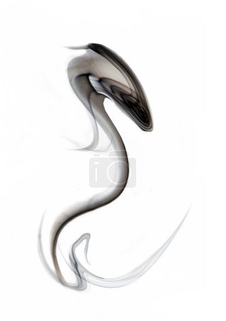 Téléchargez les photos : Cyborg king cobra, photo abstraite d'art de formes floues de fumée sur fond blanc. - en image libre de droit