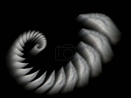 the Fibonacci spiral, the divine proportion,