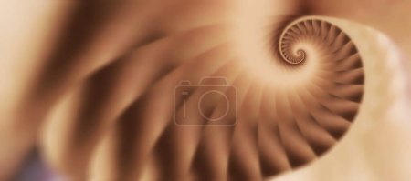 the Fibonacci spiral, the divine proportion,