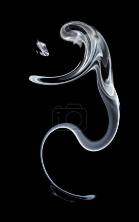 the snake,     emulation,  art abstract photo of fuzzy shapes of smoke on a black background.