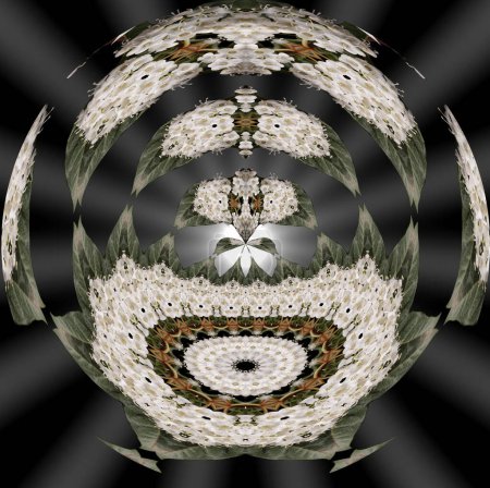 Téléchargez les photos : Mandala de la force intérieure des plantes, mandala végétal, mandala de méditation, arrêt du dialogue interne, composition abstraite circulaire - en image libre de droit