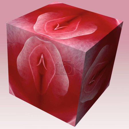 cube with a pink rose,sex, pussy, vulva, clitoris, vagina, Orgasm, love, spring, bloom, petal, Erotic rose flower, Flower imitating the female sex, visual allegories, visual metaphors,
