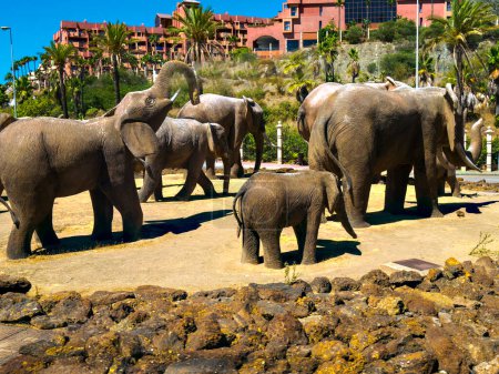 Photo for Life sized Sculpture of a family herd of Elephants on a traffic Island in the Resort of Fuengirola in Southern Spain - Royalty Free Image